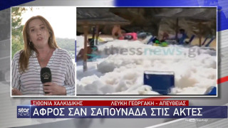 Χαλκιδική: «Άφρισαν» οι ακτές της Σιθωνίας