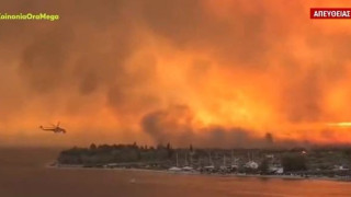 Φωτιά στην Έυβοια: «Πολύ ύποπτο - Υπόνοιες για εμπρησμό!»