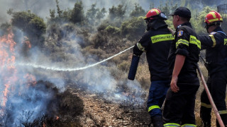 ΤΩΡΑ: Φωτιά στα Πετροκέρασα, σπεύδουν δυνάμεις