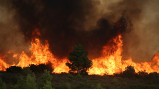 Πόσο τοξική είναι η ατμόσφαιρα μετά από τις πυρκαγιές στην Ελλάδα;