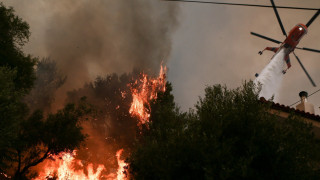 Εμπρηστικός μηχανισμός βρέθηκε στο δάσος της Βαρυμπόμπης