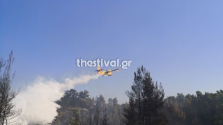 ΤΩΡΑ: Φωτιά στη Βουρβουρού Χαλκιδικής – Στη “μάχη” εναέρια μέσα