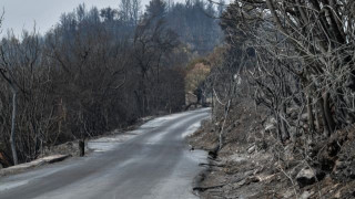 Αυξημένη κατά 450% η καμένη έκταση στην Ελλάδα σύμφωνα με το meteo
