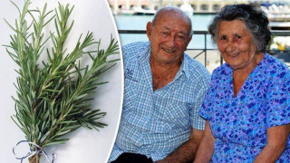 Υγεία: Το αρωματικό βότανο που δυναμώνει τη μνήμη και χαρίζει μακροζωία!