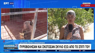 Χανιά: Πυροβόλησαν και σκότωσαν σκυλί έξω από το σπίτι του