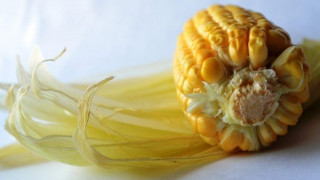 Κορωνοϊός: Ποια τρόφιμα μειώνουν τα σταγονίδια όταν φτερνιζόμαστε