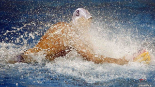 Στην Αθήνα, η Τελική φάση της Β’ Εθνικής Ανδρών