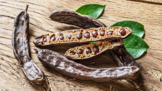 Το αντικαρκινικό τρόφιμο που έχει περισσότερο ασβέστιο από το γάλα