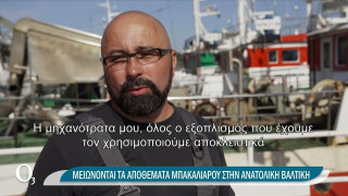 Μπακαλιάρος: Πού εξαντλούνται τα αποθέματα