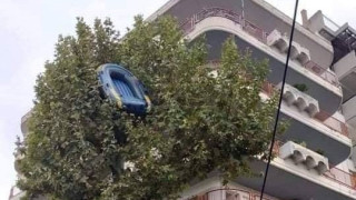 Viral: Βάρκα βρέθηκε σε... δέντρο στην Καλαμαριά!