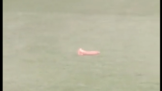 Το τερμάτισαν στην Αγγλία: Πέταξαν δονητή σε γήπεδο!