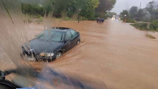 Ζαγκλιβέρι: Ανέβηκε στην οροφή του αυτοκινήτου του για σωθεί!
