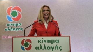 Σχόλιο-ντροπή για τη Φώφη Γεννηματά προκαλεί έντονες αντιδράσεις