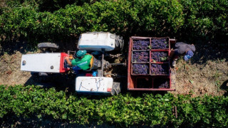 Αγροτικές επιδοτήσεις: Δικαιούχοι καταγγέλουν ότι εξαιρέθηκαν από την προκαταβολή