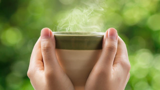 Δυσκοιλιότητα και πρόβλημα στην πέψη; Το βότανο που θα σε... σώσει!