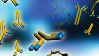 Κορωνοϊός-Μονοκλωνικά αντισώματα: Ξεκινάει την Παρασκευή η χορήγησή τους στην Ελλάδα