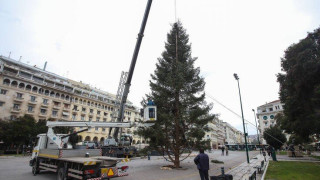 Θεσσαλονίκη: Δολιοφθορά στο χριστουγεννιάτικο έλατο της Αριστοτέλους