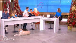 «Κάγκελο» η Μενεγάκη με τον Πούμπουρα: «Έπεσε παντόφλα;»