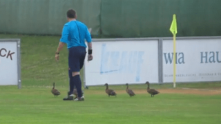 Οι... πάπιες διέκοψαν το Ζενίτ-Λουντογκόρετς! (video)