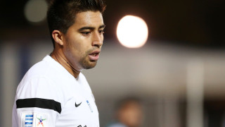 Εσωτερικές μεταγραφές