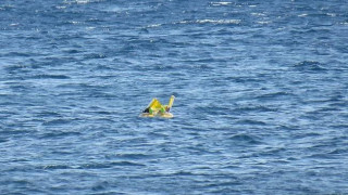 Μωρό διένυσε 1 χλμ πάνω σε φουσκωτό στρώμα - Έφτασε από την Τουρκία στην Λέσβο! 