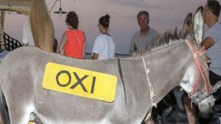 Δείτε που είχε... γραμμένο το ΝΑΙ ένας γάιδαρος στη Λευκάδα