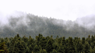 Καιρός: Παραμονή Πρωτοχρονιάς με θερμοκρασίες Πάσχα