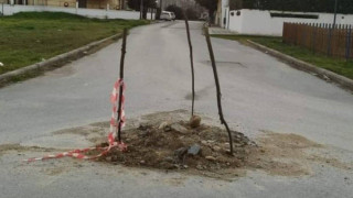 ΔΕΥΑ Λαγκαδά: Με... τρία ξύλα μπάλωσαν δρόμο!