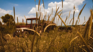 Ελλάδα: Μείωση της αγροτικής παραγωγής λόγω των ακραίων καιρικών φαινομένων