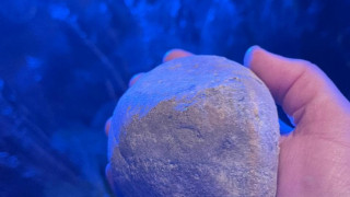 Ανόρθωση:«Δεν οπλίζουμε το χέρι κανενός, η μνήμη του Άλκη δεν ξεθώριασε»