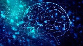 Νέα αποκαλυπτική έρευνα: Μέχρι ποια ηλικία «στροφάρει» γρήγορα το μυαλό;