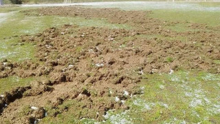 «Αγριογούρουνα όργωσαν το μισό γήπεδο του ΠΑΟΚ Σταυρού, χαμένος ο κόπος δύο ετών»