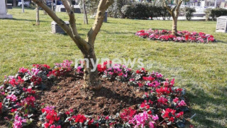 Κυριζίδης για τις ταμπέλες στο πάρκο αθλητικής φιλίας: «Θα βάλουμε νέες και θα βρούμε τους δράστες»