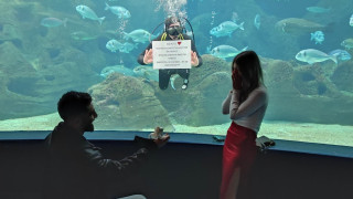 Ποδοσφαιριστής του ΟΦΗ έκανε πρόταση γάμου...σε ενυδρείο