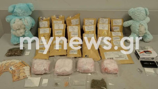 Θεσσαλονίκη: Εξαρθρώθηκε σπείρα που διακινούσε ναρκωτικά σε λούτρινα αρκουδάκια