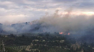 Συνεχίζει να καίγεται η Κασσάνδρα - Στη «μάχη» 4 Canadair