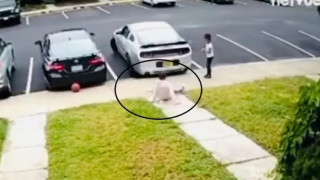 Σοκ: Πυροβόλησαν 9χρονο κορίτσι - Προσοχή σκληρές εικόνες