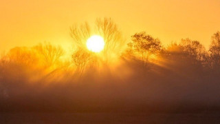 Η πιο ζεστή πόλη του κόσμου: Μέχρι και τα πουλιά πέφτουν από τον ουρανό!