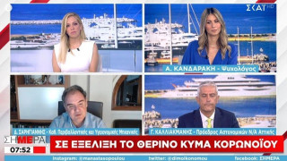 «Κρύβει»O ΕΟΔΥ τα κρούσματα; Ο Σαρηγιάννης λέει πως έχουμε 315.000