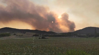 Φωτιά στον Έβρο: Μαίνεται το πύρινο μέτωπο στο δάσος της Δαδιάς