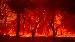 Λέσβος: Ανεξέλεγκτη η πυρκαγιά – Έχουν καεί σπίτια, χωρίς ρεύμα και νερό