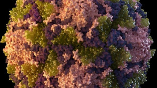 Κρούσμα της εξαφανισμένης πολιομυελίτιδας στη Νέα Υόρκη!