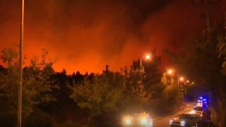 Ζάγκας: «Έβρεξε τον χειμώνα άρα δεν θα έχουμε πυρκαγιές; Ακριβώς το αντίθετο!»