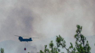 Καίγεται για 8η μέρα το δάσος της Δαδιάς – Πάνω από 40.000 στρέμματα έγιναν στάχτη