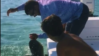 Φλόριντα: Ψαράς πήγε να πιάσει καρχαρία και έχασε το δάχτυλό του!