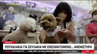 Πατέντα: Ρούχα με… ανεμιστήρα για σκύλους για βόλτες στη ζέστη