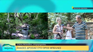 Νέο Πετρίτσι Σερρών: Ανάσες δροσιάς στο Όρος Μπέλες