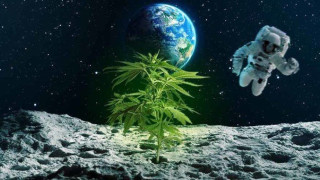 Διεθνής Διαστημικός Σταθμός: Αμερικανική εταιρεία εκτοξεύει… χασισοφυτεία στο διάστημα!