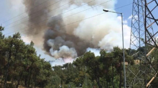 Θεσσαλονίκη: Υπό έλεγχο η πυρκαγιά στο Σέιχ Σου