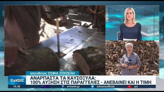 Ανάρπαστα τα καυσόξυλα στην Καστοριά!